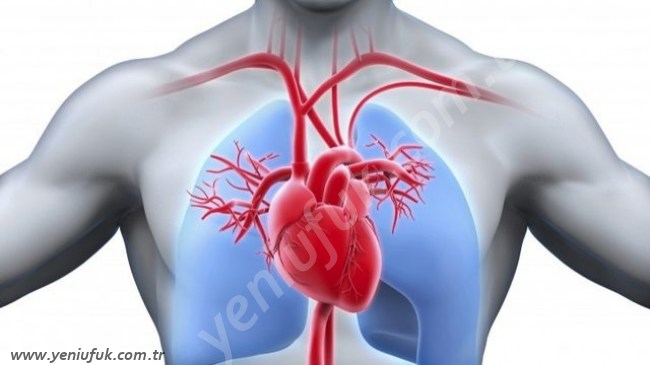 TANSİYONU YÜKSELTEN 12 ÖNEMLİ NEDEN!