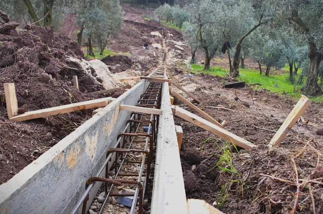 Patili canlar yeni yuvalarına kavuşuyor
