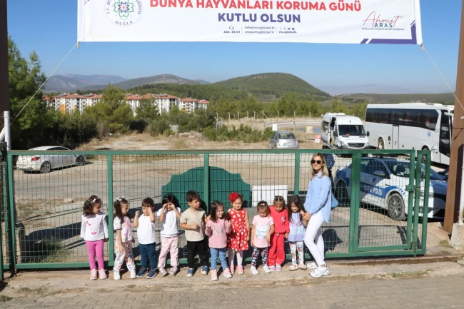 Muğla Büyükşehir'den can dostlara dört dörtlük hizmet