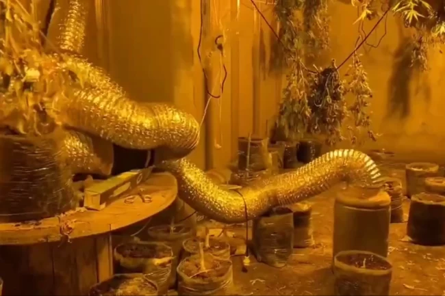 Bursa'da Jandarmadan uyuşturucu tacirlerine büyük darbe