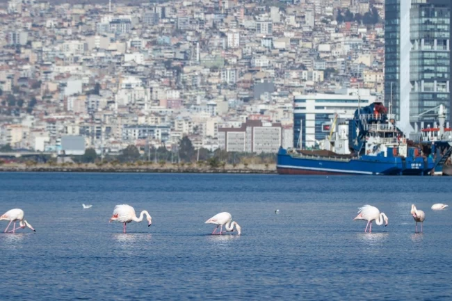 İzmir'in iklim krizi ile mücadelesi güçleniyor