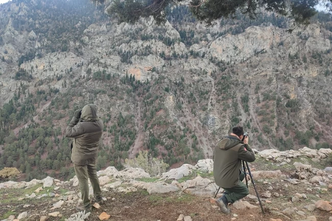 Antalya'da yasadışı avcılığa suçüstü!