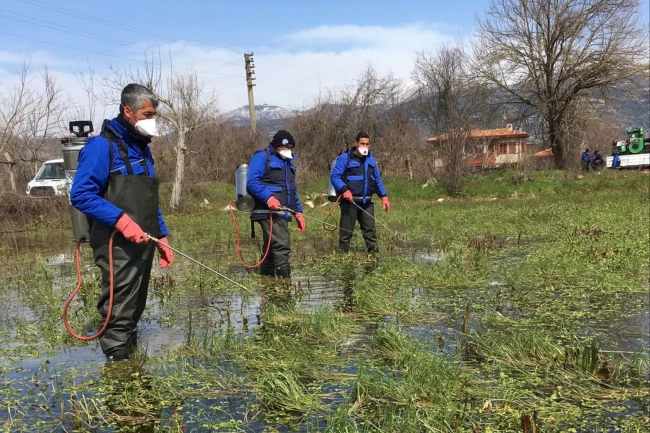 Muğla Büyükşehir'den sağlıklı kent adımları