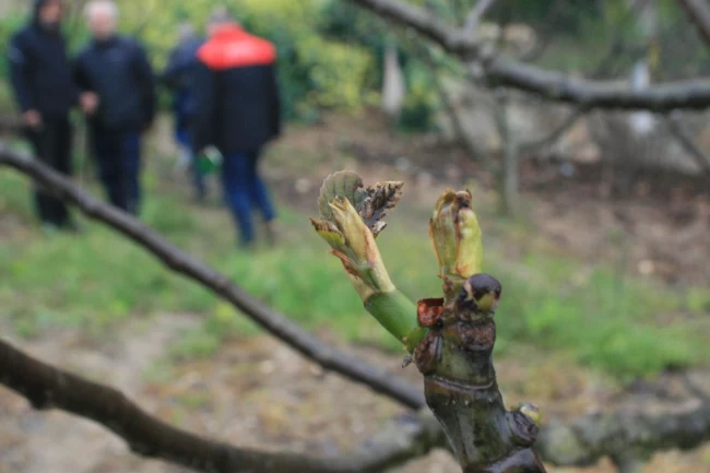 Mudanya'da soğuk hava üretimi yaktı!