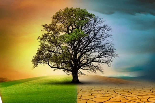 İklim Kanun teklifiyle ilgili doğru bilinen yanlışlar!