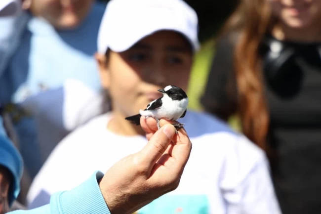Bilim Köyü'nde kuş halkalama eğitimi verildi