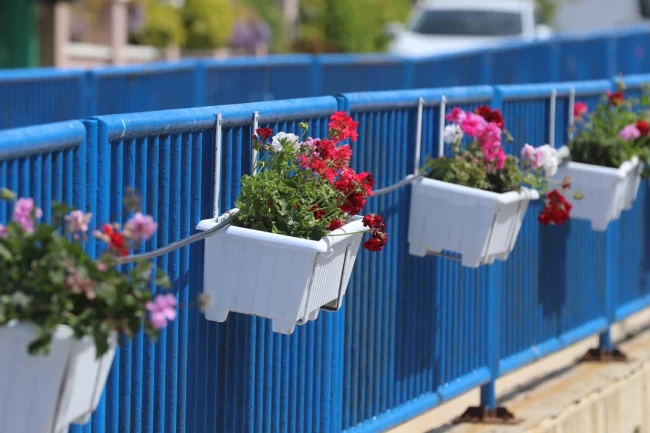 İzmir'de Güzelbahçe çiçek açtı