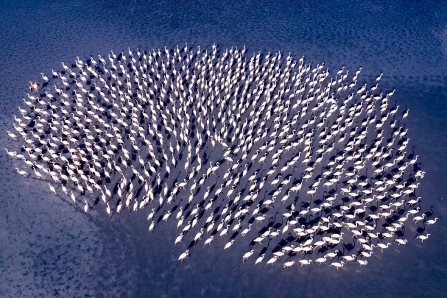 Kadın Gözüyle Hayattan Kareler'in kazananları belli oldu