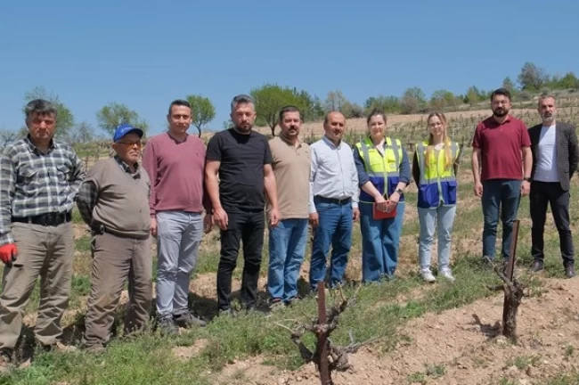 Denizli Büyükşehir üreticileri yalnız bırakmıyor