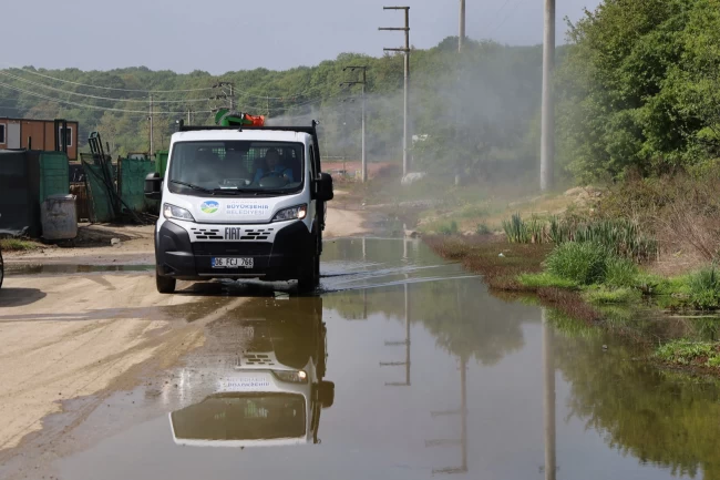 Sakarya şehrin dört yanında haşereyle mücadelede
