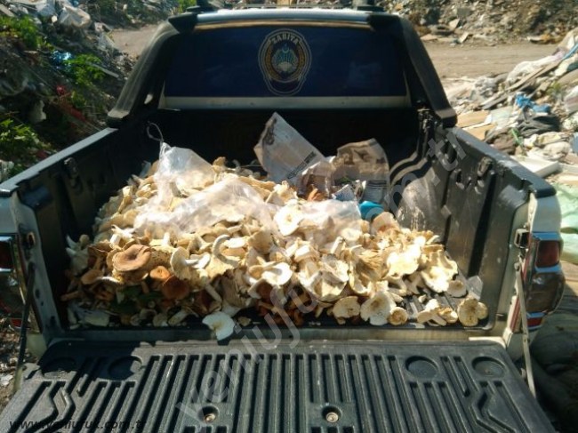 ZABITADAN MANTAR DENETİMİ..