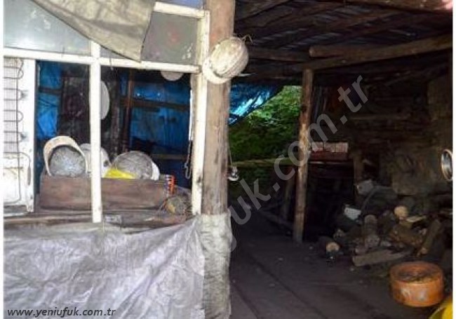 OCAKLARA 2 KURBAN DAHA VERDİK