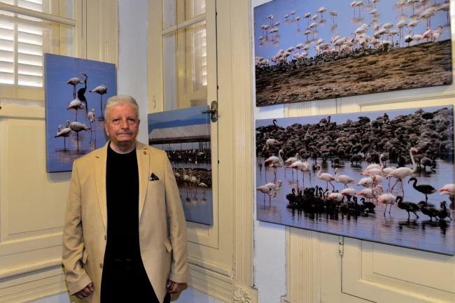Flamingo Adası Bornova'da sanatseverlerle buluştu