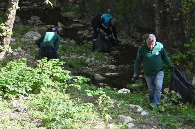 Çaybaşı Deresi'nde temizlik ve ağaçlandırma