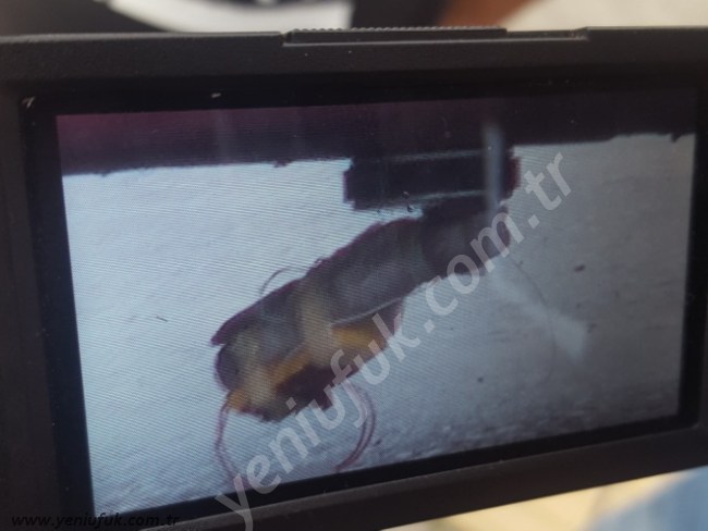 SON DAKIKA... KIZGIN KOCA DEHŞETİ!..