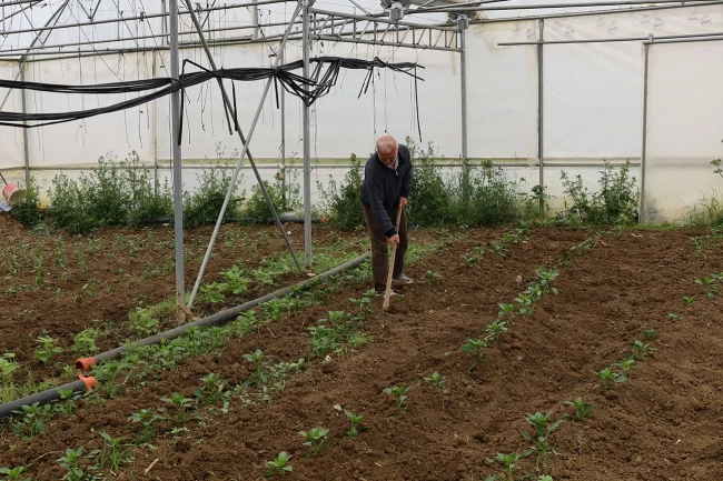 Kocaeli'nde üreticilere yüzde 50 hibeli modern sera desteği