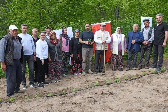 Bursa Osmangazi Belediyesi'nden tarımsal üretim adımı