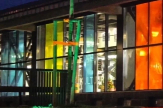 Ressam Devrim Erbil'in eserleri Sakarya'da sergilenecek