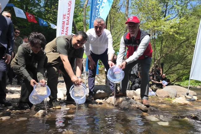 Kocaeli Kirazdere'ye 2 yılda 16 bin alabalık salındı