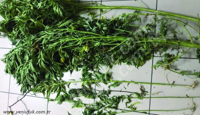 3 KİŞİ GÖZ ALTINDA...