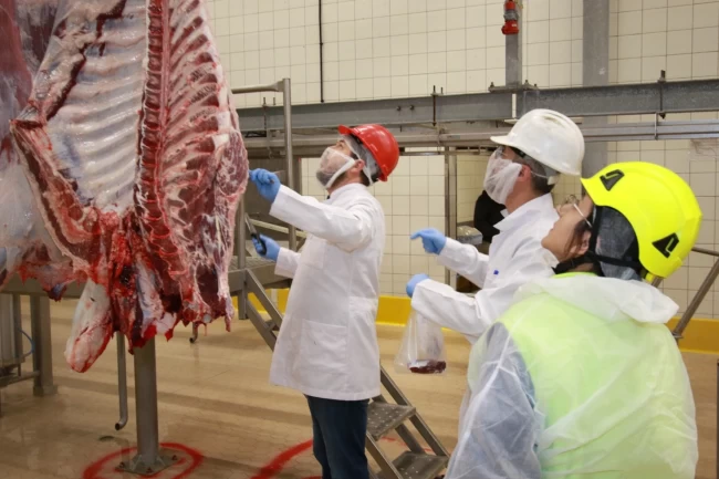 Kocaeli'de kurban kesim başvuruları 15 Mayıs'ta başlıyor