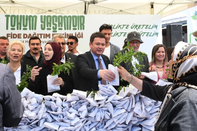 Bursa'da Osmangazi Belediyesi'nden ücretsiz fide dağıtımı