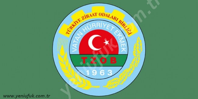 FINDIK ÜRETİCİLERİ İSYANDA