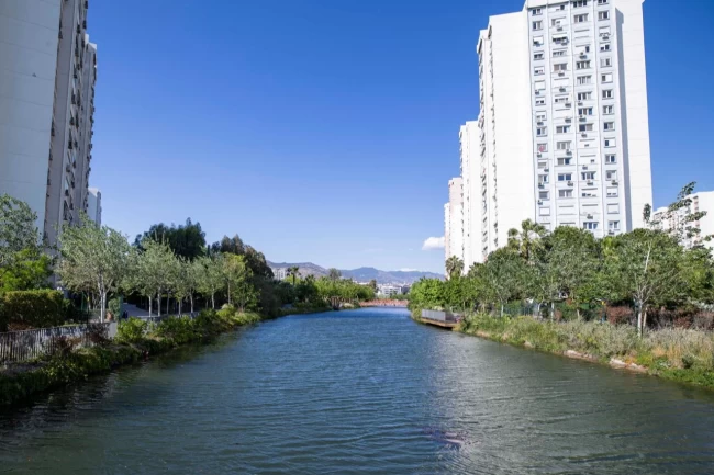 Başkan Tugay İzmir'in "iklim nötr" çalışmalarını anlattı