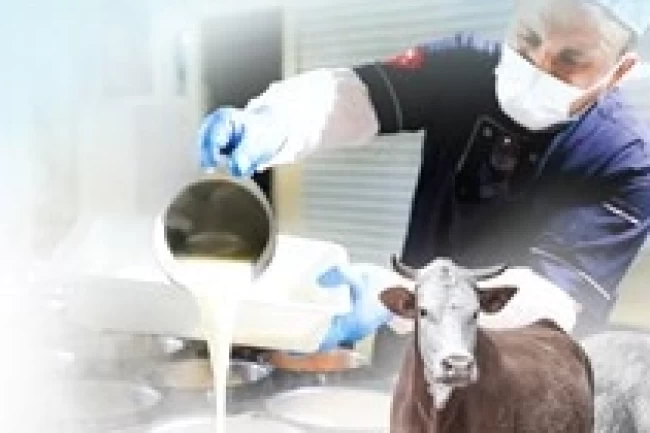 Denizli'de Kurban Bayramı kampanyası