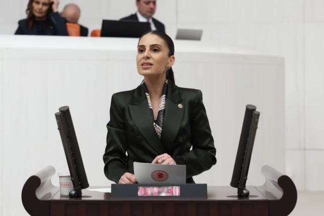 Milletvekili Özcan'dan sokak hayvanları için Bakan Yumaklı'ya önerge