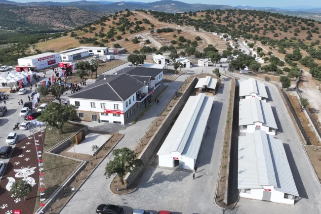 Manisa'da sokak hayvanları için Hayvan Yaşam Merkezi hizmete açıldı