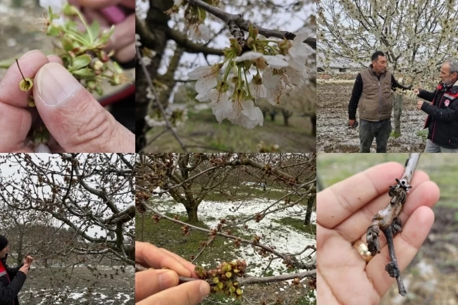 TBMM Zirai Don Araştırma Komisyonu üye seçimi 'Resmi'leşti