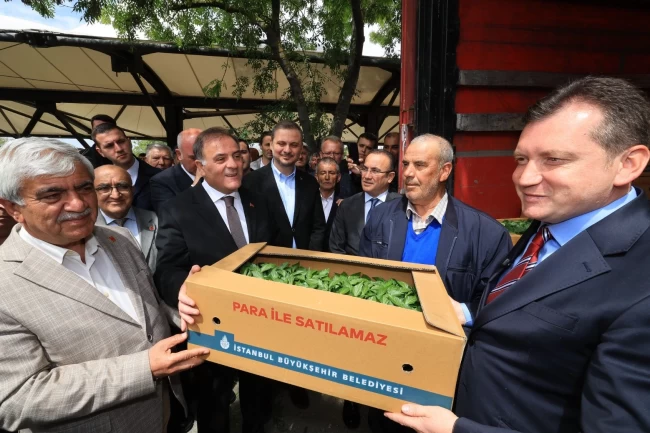 İstanbullu çiftçilere karşılıksız destekler sürüyor