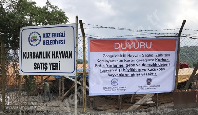 KURBAN KESİM FİYATLARI VE SATIŞ YERLERİ BELİRLENDİ