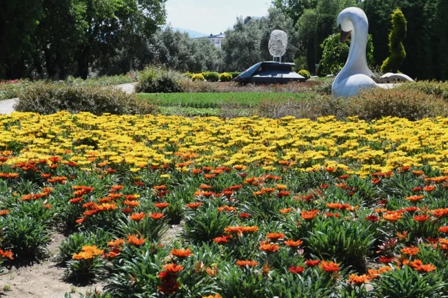 Bursa Osmangazi'nin her yeri çiçek kokuyor