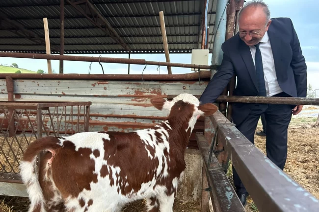 Manisa'da 'tek dam projesi' Selendi'de tanıtıldı