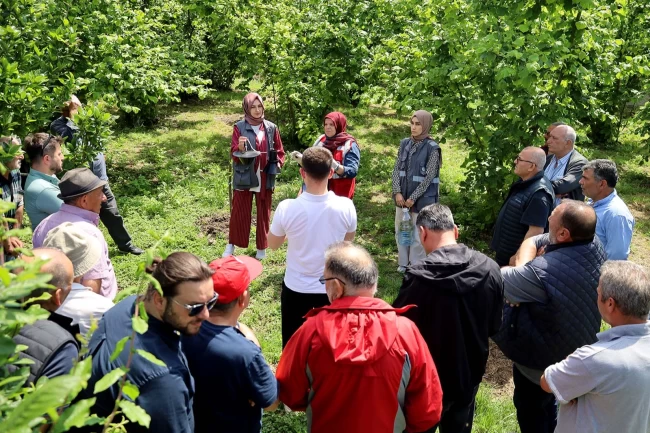 Sakarya'da çiftçilere feromon tuzağı ulaştırıyor