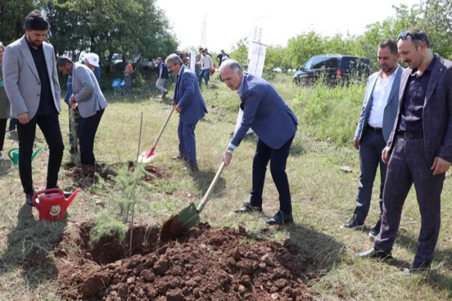 Bursa İnegöl'de Çevre Haftasında 150 fidan toprakla buluştu