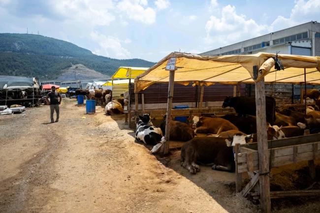 İzmir Bornova'da Kurban Pazarı kapılarını açtı