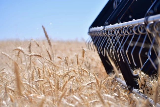 CHP'li Milletvekili Ün'den TMO'nun fiyatlarına sert tepki