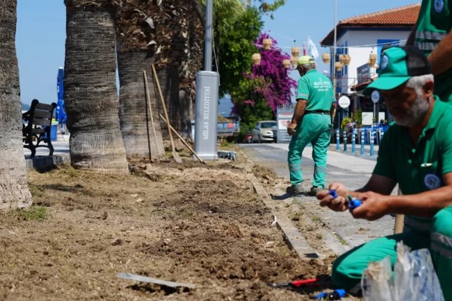 Milas Belediyesi, Güllük'te çalışmaları hızlandırıyor