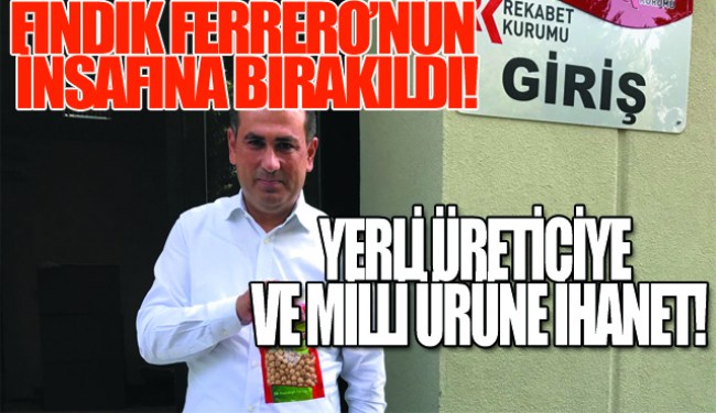 CHP'DEN FINDIK ÜRETİCİSİNE BÜYÜK DESTEK!..