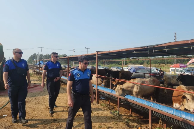 İzmir Çiğli'de kurban pazarına sıkı denetim