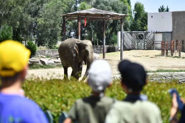 İzmir Doğal Yaşam Parkı bayramda ziyaretçileri bekliyor