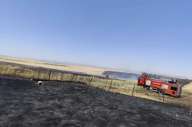 Diyarbakır Büyükşehir'den anız yangınlarına karşı uyarı