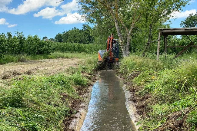 Kocaeli kırsalında sulama kanalları temizleniyor