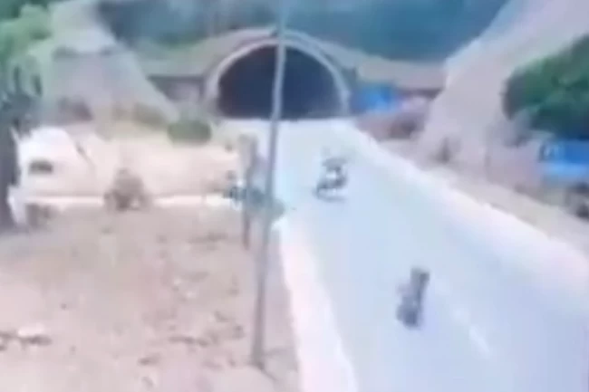 Antalya'da trajik kaza! Bakan Yerlikaya yine uyardı