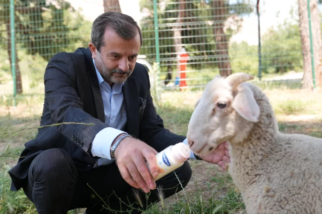 Bursa Gürsu'ya butik hayvanat bahçesi