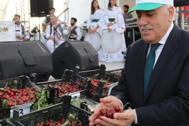 Yeşilli Kiraz Festivali'yle Mardin dünyaya tanıtılıyor