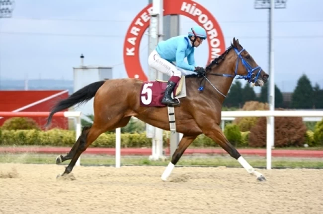 Leyla Atakan Koşusu'nu Prenses Sylvester kazandı